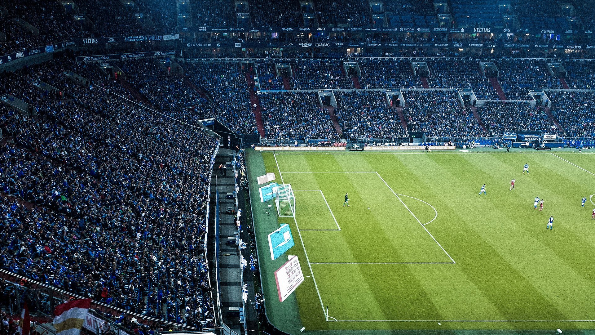 舞台越大越强,西亚卡姆的蜕变与深圳队冲垮国王的启示